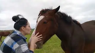 Мои девочки не любят причёски