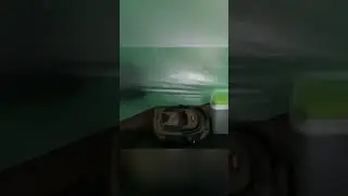 МЕДВЕДЬ пришел к НАШЕЙ ПАЛАТКЕ