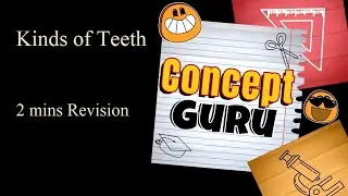 Kinds of Teeth | Class 4 | ICSE | Science | 2 minute Revision | Science Olympiad