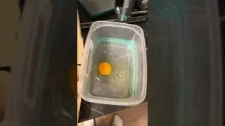 Baking