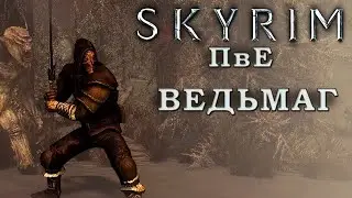 Skyrim ПвЕ (билд Ведьмаг)