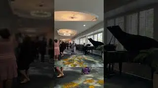 I played Merry-Go-Round of life at a wedding 