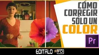 How to fix only one color in Premiere - HSL Secondary