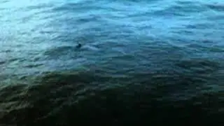 Видео0013