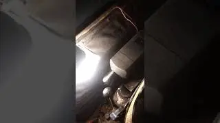 установил автономку на ЛТЗ 55 а
