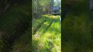 газ 66 бездорожье