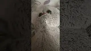 хахаха 😂😂😂!