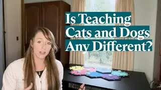 Teaching Cats vs Dogs to Talk | FluentPet Academy
