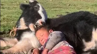 Animals love❤😘 #Animals #funny #love