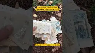 Товарищ нашел в диване советскую денежную котлету