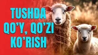 Tushda qo'y qo'zi ko'rish | Тушда қўй қўзи кўриш
