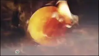 Рекламная заставка (НТВ-Мир, август 2014)