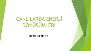 KEMOSENTEZ- CANLILARDA ENERJİ DÖNÜŞÜMLERİ