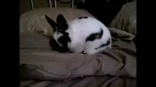 Every time Stella sees a duvet she feels compelled to rearrange it