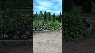 Цветы