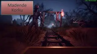 Madende korku