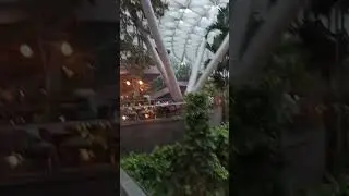 Travel to Singapore সিঙ্গাপুর ভ্রমণ#shorts