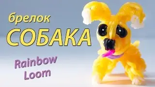 СОБАКА (щенок) из Rainbow Loom Bands. Урок 98