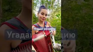 🥰❤️ты сможешь #аккордеон #угадаймелолию #музыка #триаккорда #песня #баян #питер #игора