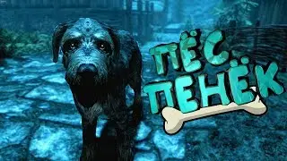ПЁС ПЕНЁК В TheElder Scrolls V  Skyrim Special Edition(Баги, Приколы, Фейлы)