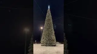 С Новым годом #2024