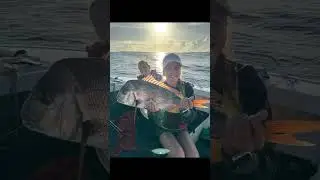 SNAPPER FISHING HUGE MULTI HOOKUPS tap the FISHING link BELOW for MORE|