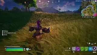 Fortnite_20240805150819