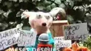 Mario Hugo - Manifestacion de Frutas