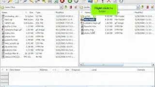 FTP - Managing files in CuteFTP