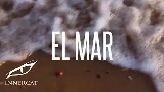 Caramelos De Cianuro ft. Jorge Glem & Manuel Rangel - El Mar (Lyric Video)
