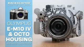 Olympus E-M10 IV and Backscatter Octo Housing | Underwater Camera Review 