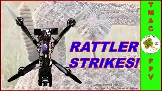 FPV Frame (Micro FPV DIAMONDBACK RATTLER!)