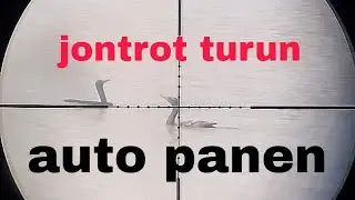 pakai ini pecuk pasti turun