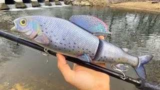 Making a Massive Grayling SwimBait