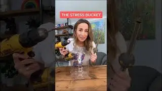 🤯 Stressed? You 𝐇𝐀𝐕𝐄 To See This! The Stress Bucket - Dr Julie 
