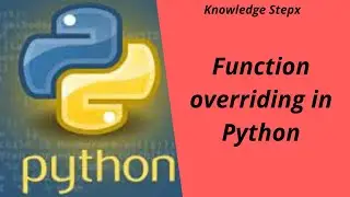 Function overriding in Python