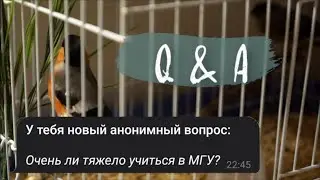 Вопрос Ответ: МГУ, Семья, Личная Жизнь?