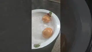 Свобода и у попугая в клетке.