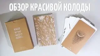 24. Обзор колоды Таро золотого ядра. Tarot of the Golden Kernel..