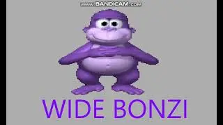 Wide Bonzi Meme