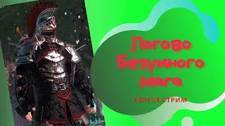 Логово Безумного Мага | Паладин в M21 | Neverwinter