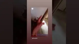 #d
