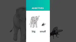 Opposite adjectives in English | Daily Used Adjectives | Antonyms 
