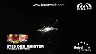 5789 Der Meister - Wolff