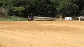Yoav Sugar & Professor Hollywood (Dana Schiller's Horse) Israel 11 May 2013