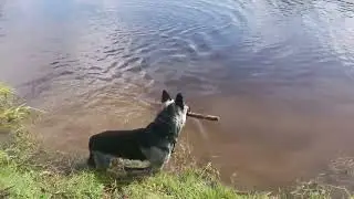 Последний месяц лета ☀️ Наслаждаемся прогулками с Иртышом