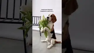 С праздником, лэйдис💞