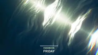 Fakebook - Friday (Radio Edit)