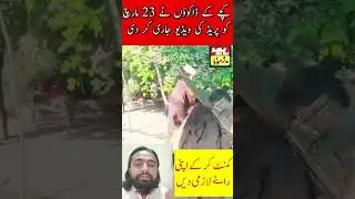 کچے کے علاقے سے 23 مارچ کو ایک اور ویڈیو جاری کردی گئی  | A video from Kachy ka ilqa | News