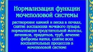 Орис Лечение мочеполовой системы у мужчин и женщин
